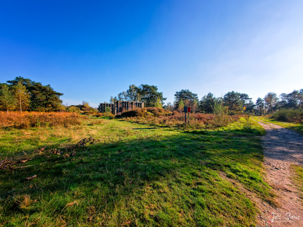 Wandelen op de Groote Heide bij Venlo